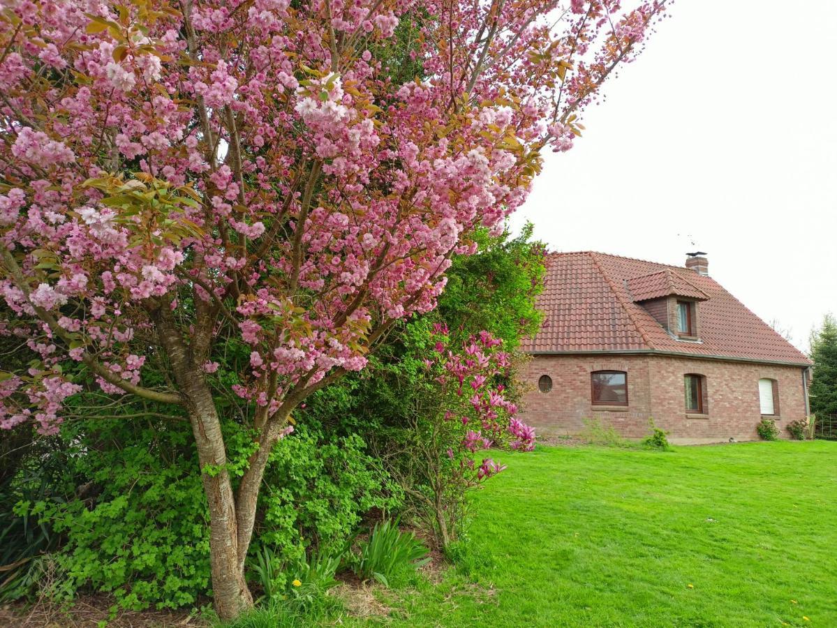 Les Chambres Du Vert Galant "La Campagne Qui Murmure" Verlinghem Dış mekan fotoğraf
