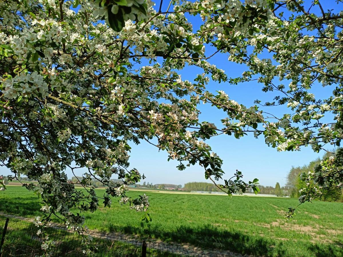 Les Chambres Du Vert Galant "La Campagne Qui Murmure" Verlinghem Dış mekan fotoğraf